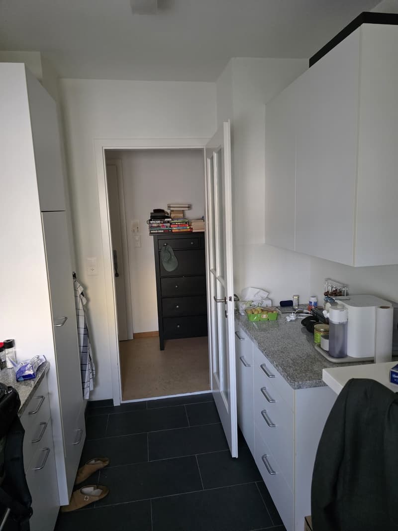 Charming 2 room ap in green and peaceful Wollishofen (6)