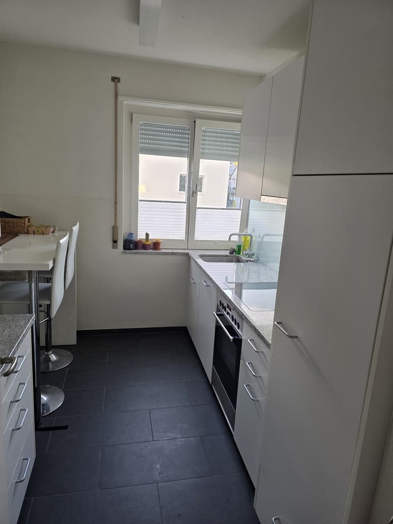 Charming 2 room ap in green and peaceful Wollishofen (11)