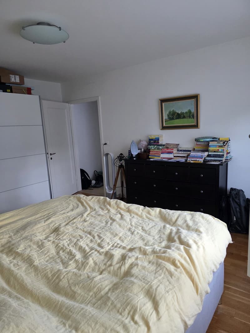 Charming 2 room ap in green and peaceful Wollishofen (9)