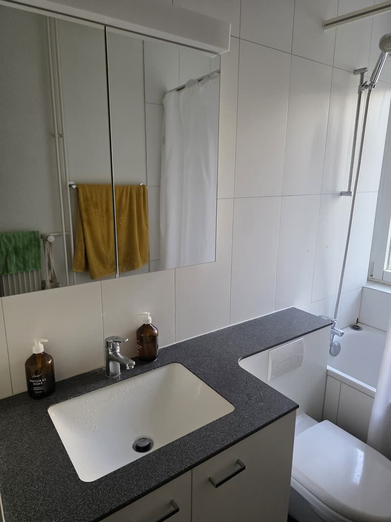 Charming 2 room ap in green and peaceful Wollishofen (7)