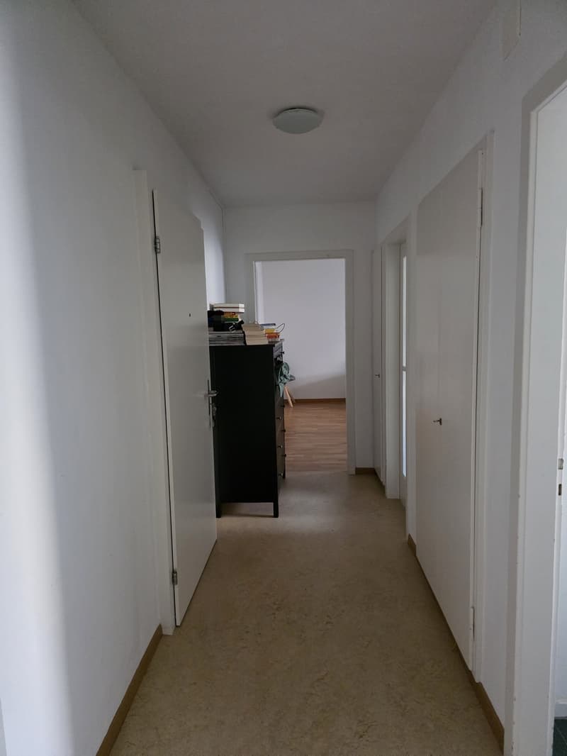 Charming 2 room ap in green and peaceful Wollishofen (5)