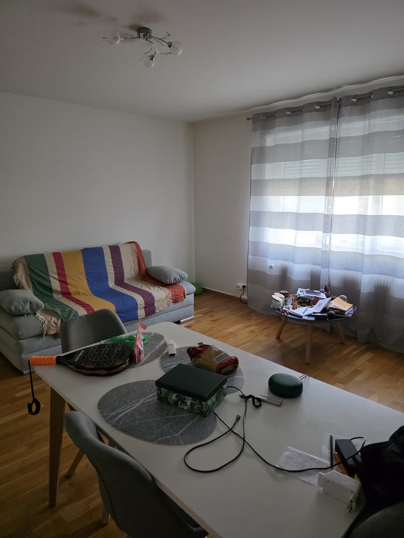 Charming 2 room ap in green and peaceful Wollishofen (3)