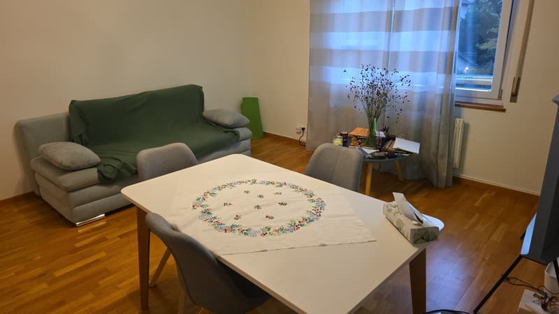 Charming 2 room ap in green and peaceful Wollishofen (2)