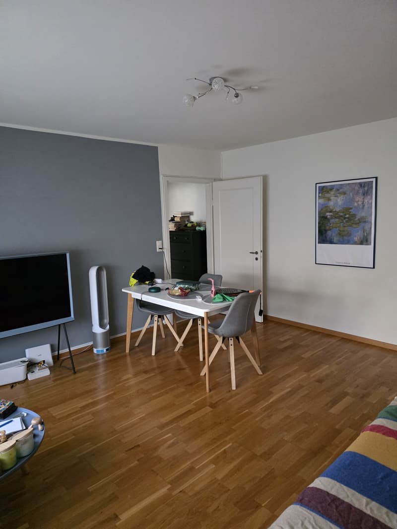 Charming 2 room ap in green and peaceful Wollishofen (8)