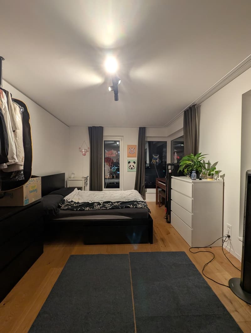 Möbliertes Studio im 13. Stock mit Aussicht Untermiete Dez. 26 bis Feb. 27 | Zürich-Altstetten (3)