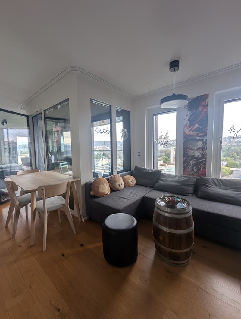 Möbliertes Studio im 13. Stock mit Aussicht Untermiete Dez. 26 bis Feb. 27 | Zürich-Altstetten (1)
