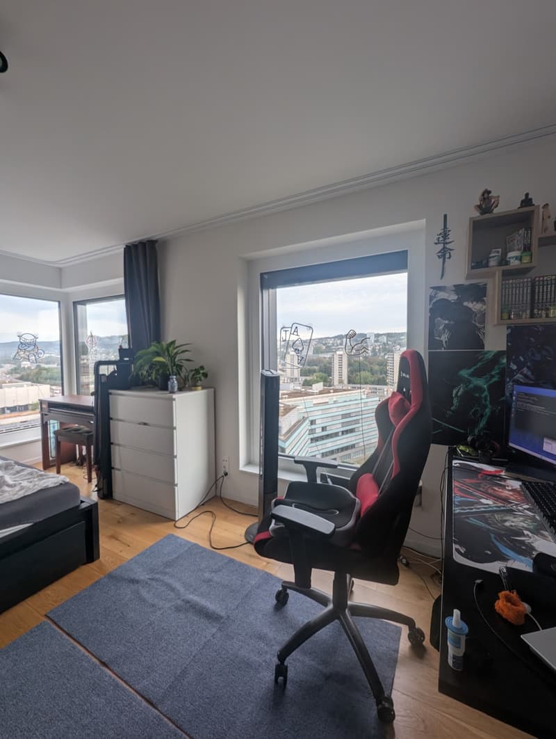 Möbliertes Studio im 13. Stock mit Aussicht Untermiete Dez. 26 bis Feb. 27 | Zürich-Altstetten (5)