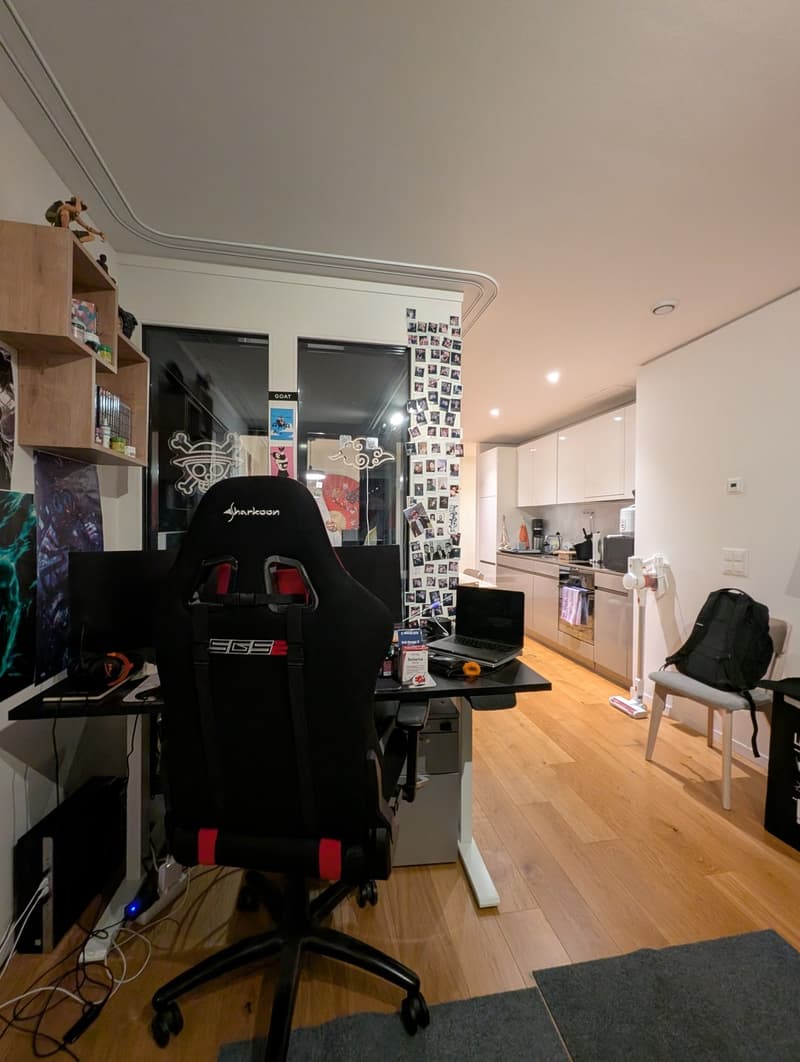 Möbliertes Studio im 13. Stock mit Aussicht Untermiete Dez. 26 bis Feb. 27 | Zürich-Altstetten (4)