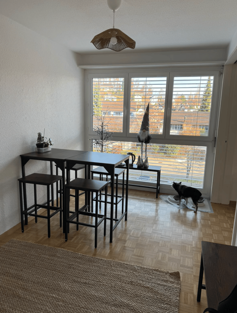 Gemütliche, preiswerte Wohnung in Uster (2)