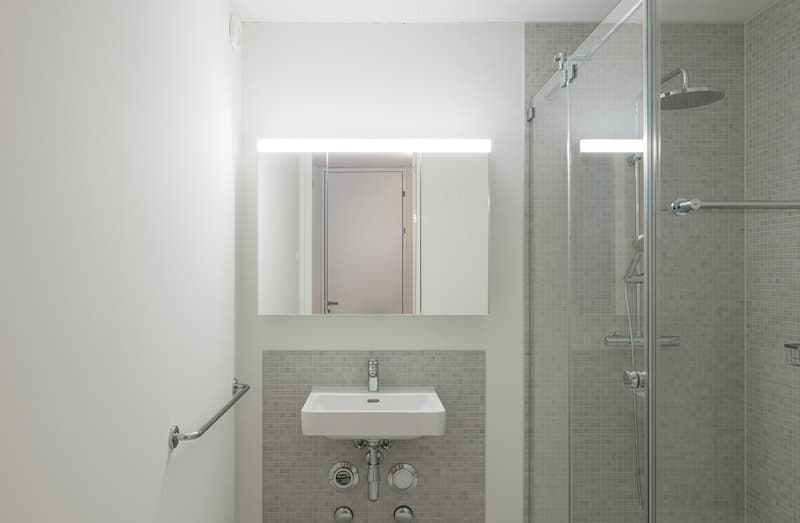 3.5 Zimmer-Wohnung auf 23. Etage beim Bahnhof Regensdorf mieten (6)