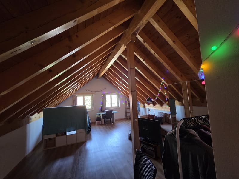 Grande chambre (44 m²) coloc à 3 - Gland proche gare ! (2)