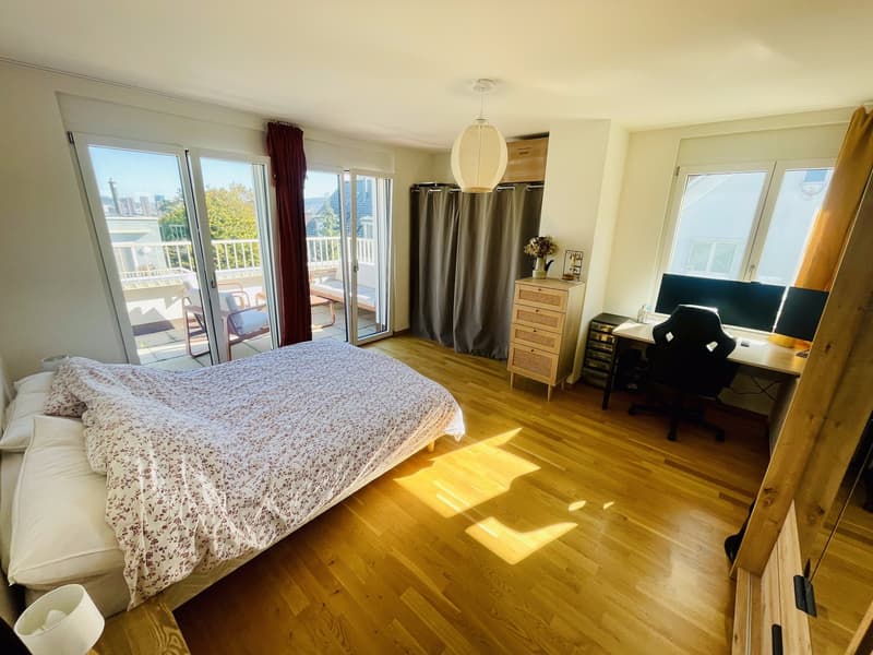 Bright and spacious Apartment with Two Terraces Triemli (2)