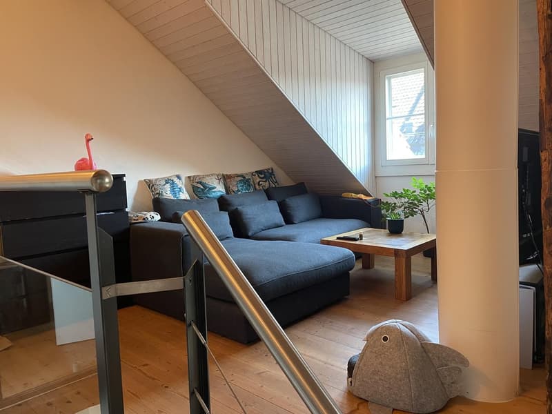 Maisonette-Wohnung in der Winterthurer Altstadt per 1.12.26 zu vermieten (10)