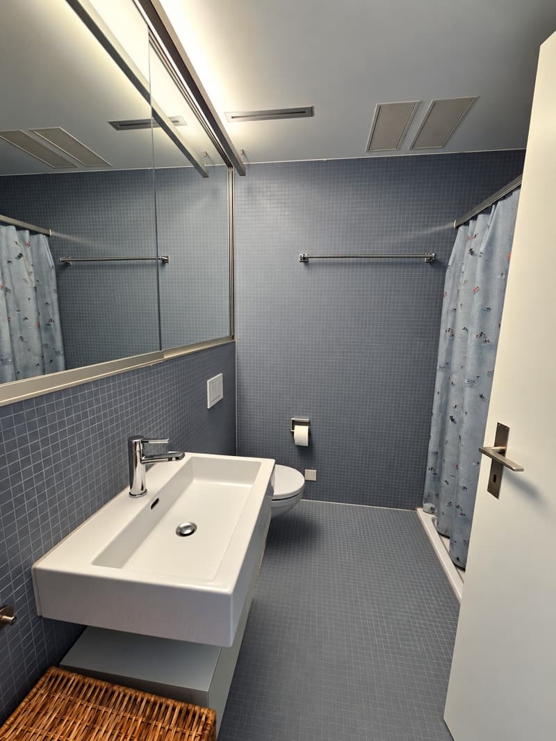 5.5-Zimmer-Wohnung in Horgen mit fantastischer Seesicht Nachmieter per 16.12.2026 gesucht (10)