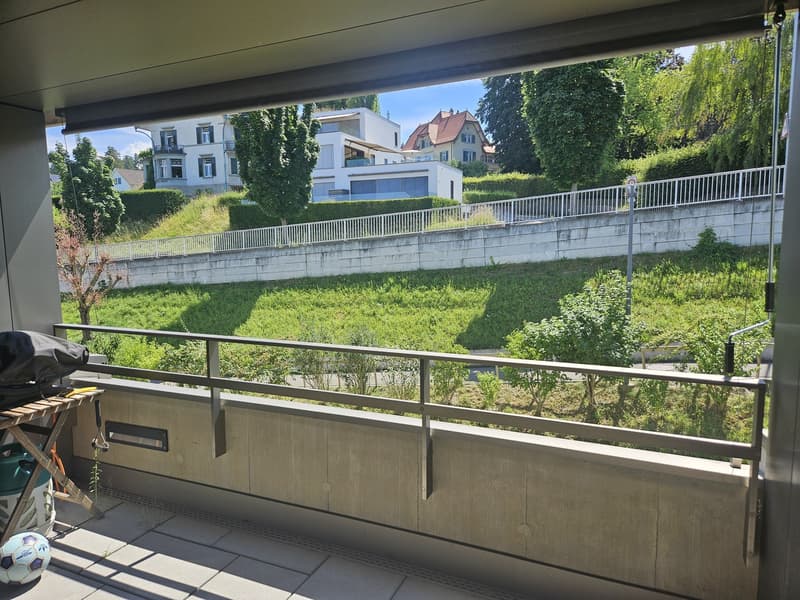 5.5-Zimmer-Wohnung in Horgen mit fantastischer Seesicht Nachmieter per 16.12.2026 gesucht (9)