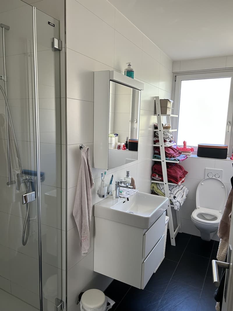 2-Zimmerwohnung im Breitenrain (3)