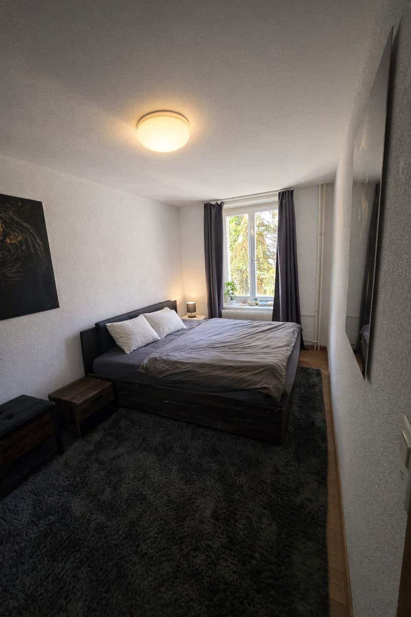 Ideally Located and well Equipped 2 Bedroom Apartment (4)