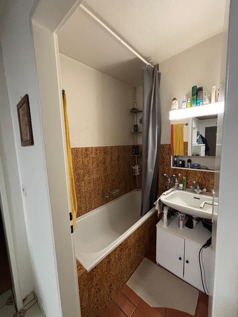 1 Zimmer im Herzen von Zürich (6)