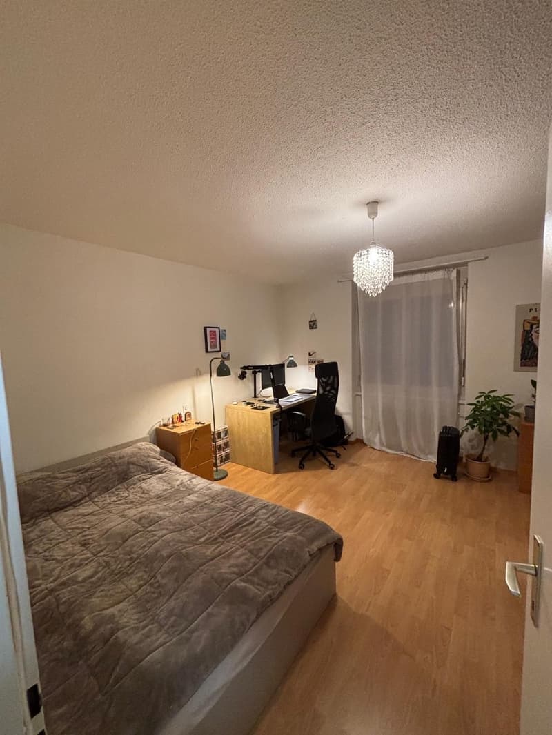 1 Zimmer im Herzen von Zürich (1)