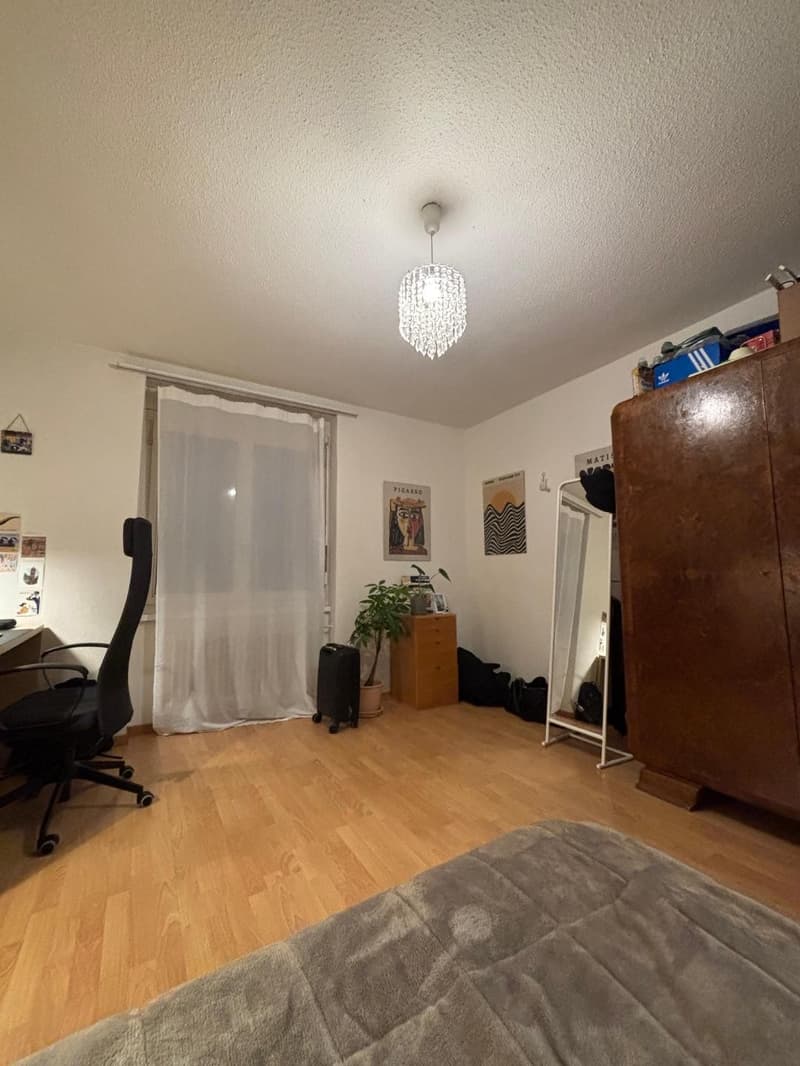 1 Zimmer im Herzen von Zürich (2)