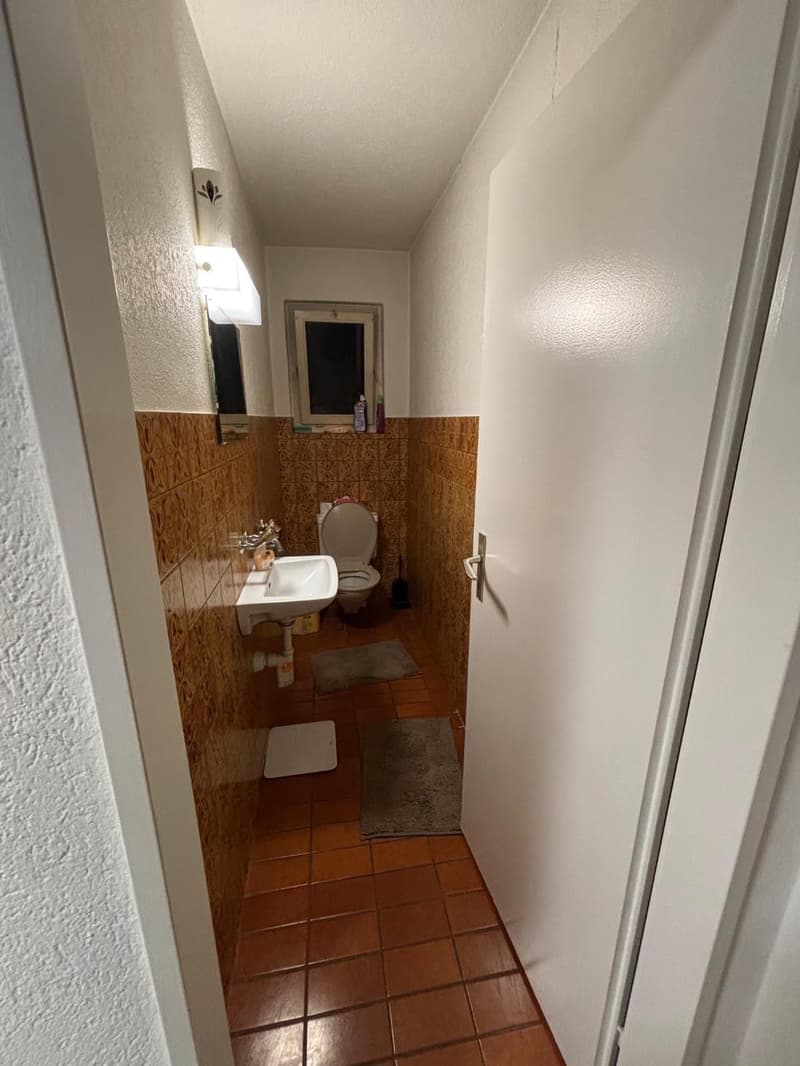1 Zimmer im Herzen von Zürich (3)