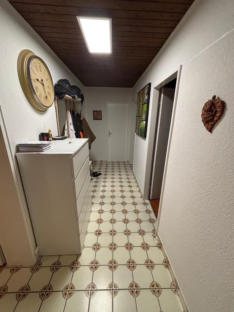 1 Zimmer im Herzen von Zürich (5)