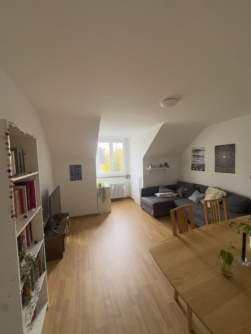 Helle und ruhige 3-Zimmer Wohnung am Egelsee (3)
