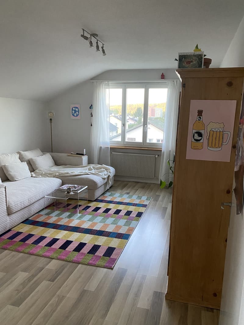 charmante Wohnung in Bremgarten AG (2)