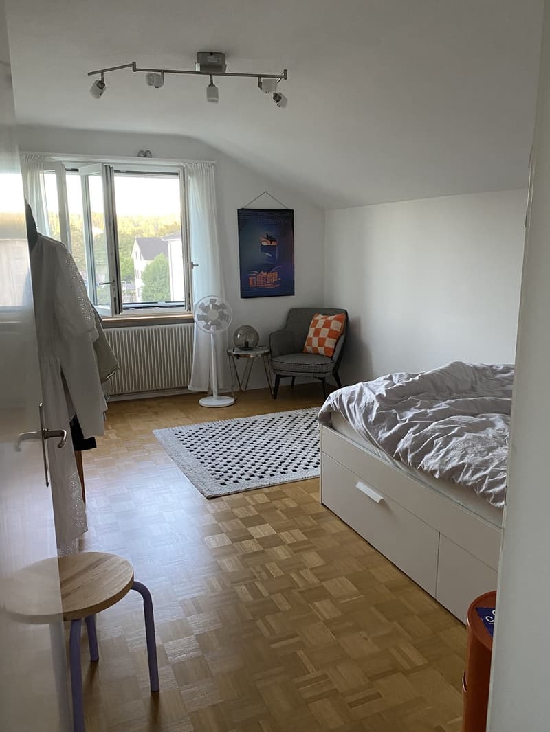 charmante Wohnung in Bremgarten AG (6)