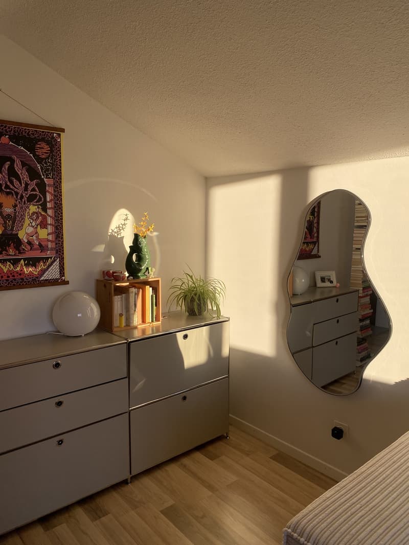 charmante Wohnung in Bremgarten AG (1)
