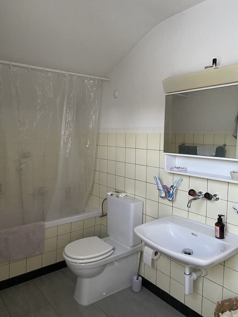 charmante Wohnung in Bremgarten AG (7)