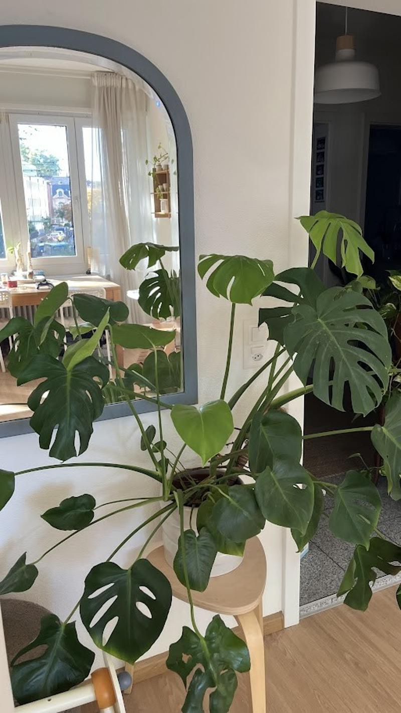 3-room apartment (5)