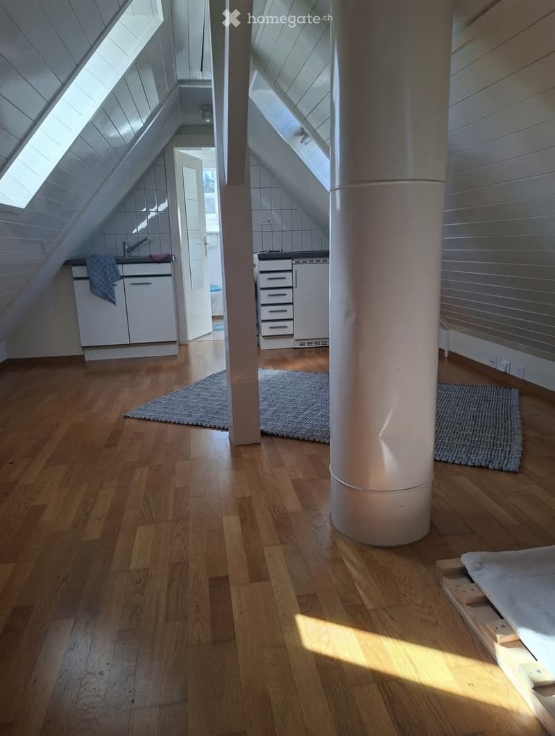 Studio sous les combles plein de charme à 2 pas de Miséricorde et de la gare (3)