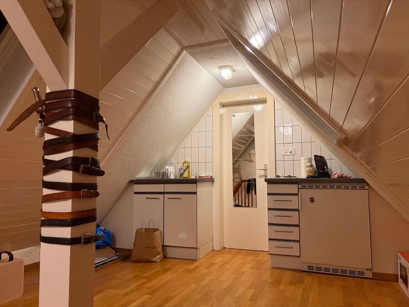 Studio sous les combles plein de charme à 2 pas de Miséricorde et de la gare (1)