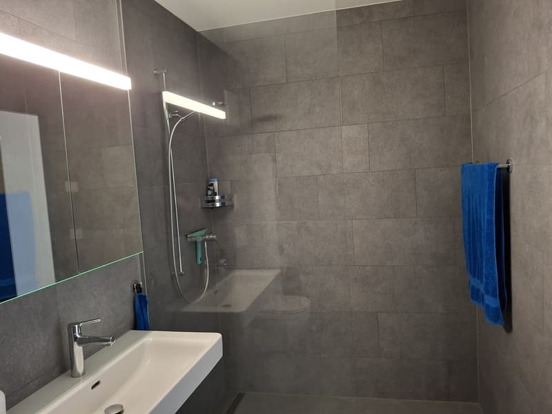2 Zimmer-Loftwohnung im 4. OG (oberste Etage) (8)