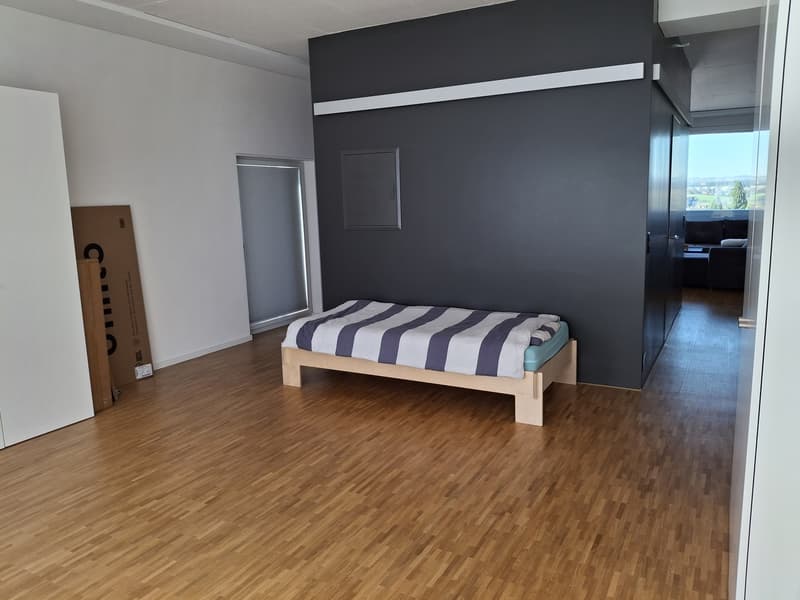 2 Zimmer-Loftwohnung im 4. OG (oberste Etage) (6)