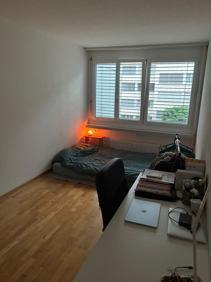 WG Zimmer in Fischermätteli mieten (1)