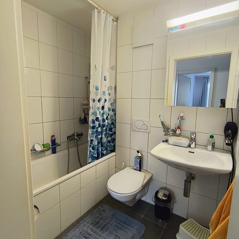 Appartamento 4 ½ locali, 3144 Gasel (12)