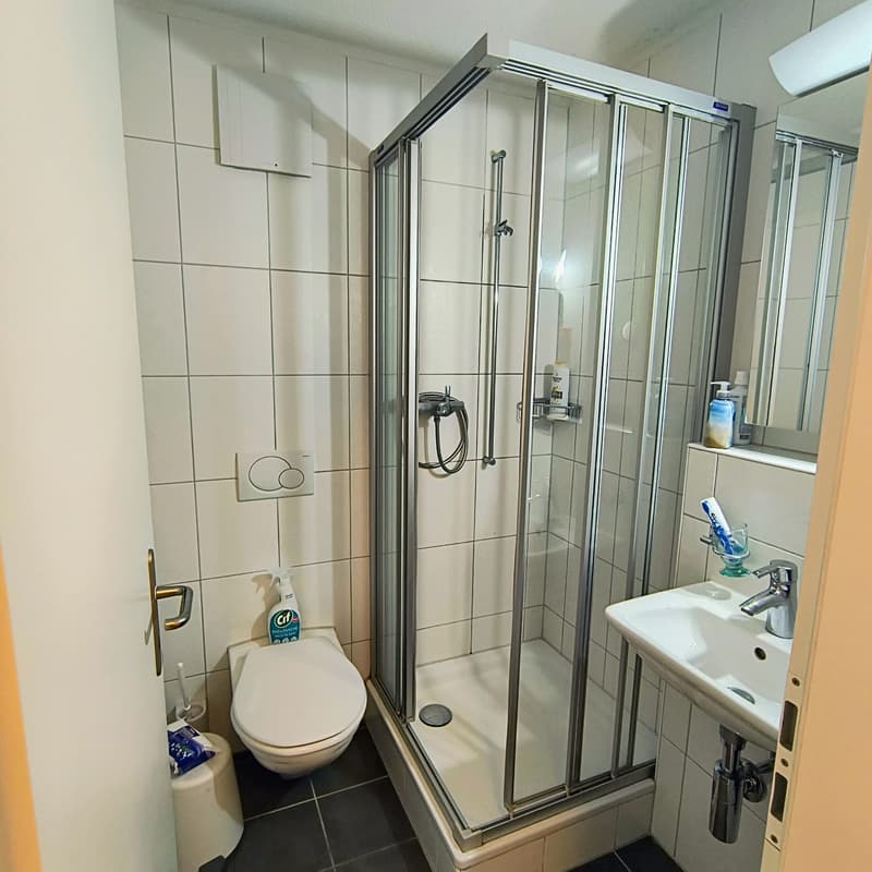 Appartamento 4 ½ locali, 3144 Gasel (13)