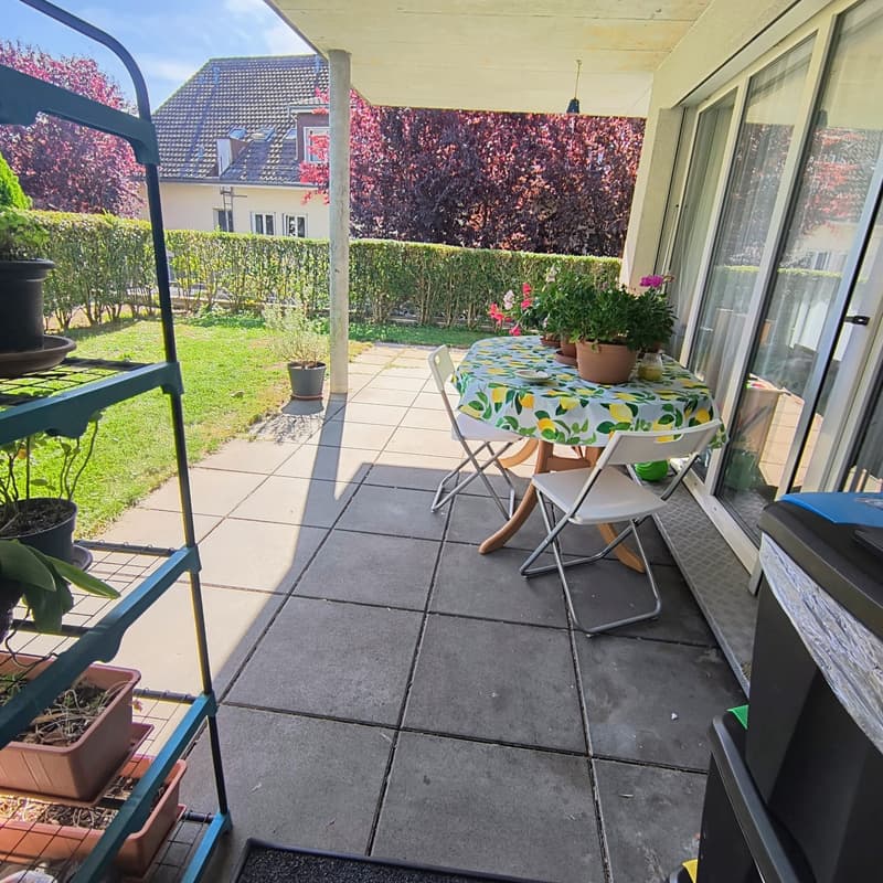 Appartamento 4 ½ locali, 3144 Gasel (4)