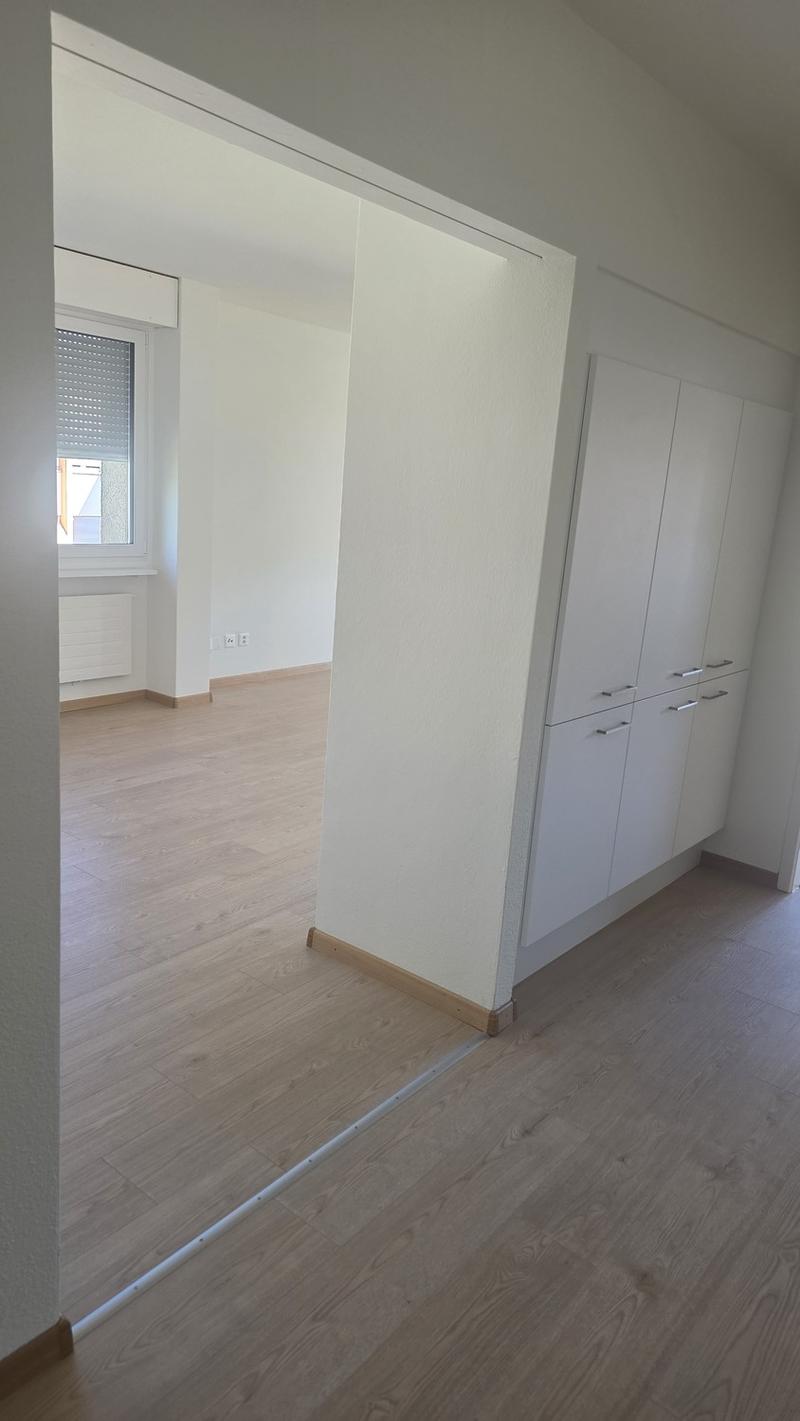 RenovieERSTVERMIETUNG NACH SANIERUNG: MODERNE 4.5-ZIMMERWOHNUNGEN!rte Wohnung in Brüttisellen (11)