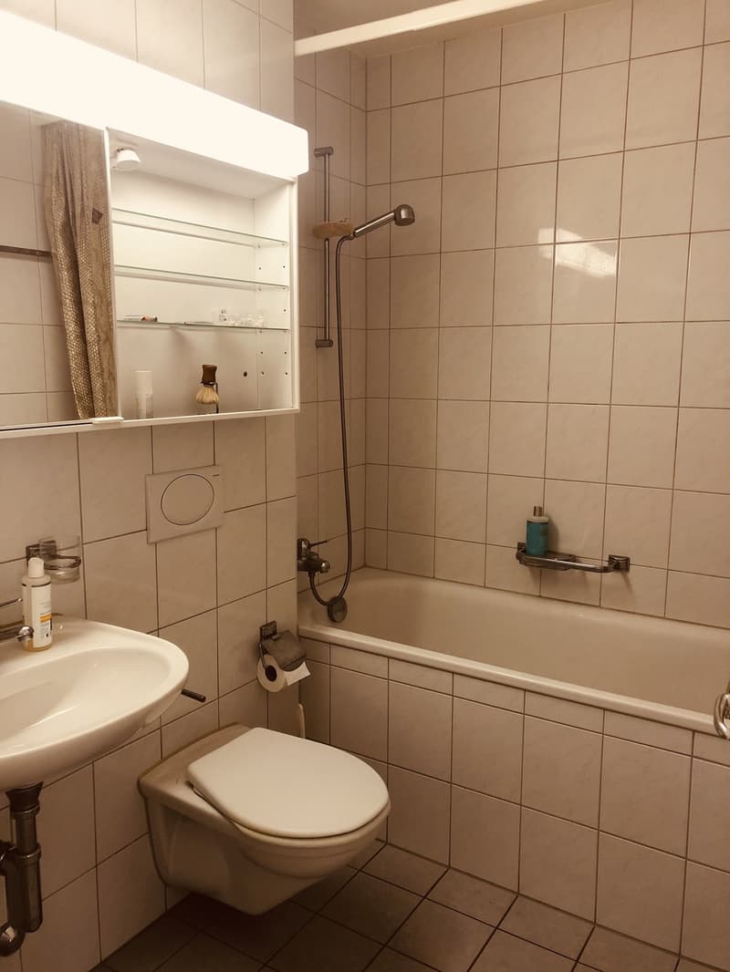 Stadtwohnung in angenehm ruhiger Umgebung (6)