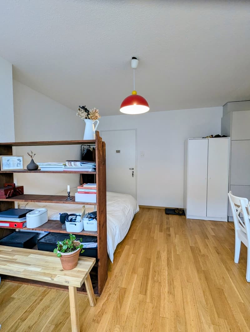 Studio beim Albisriederplatz (4)