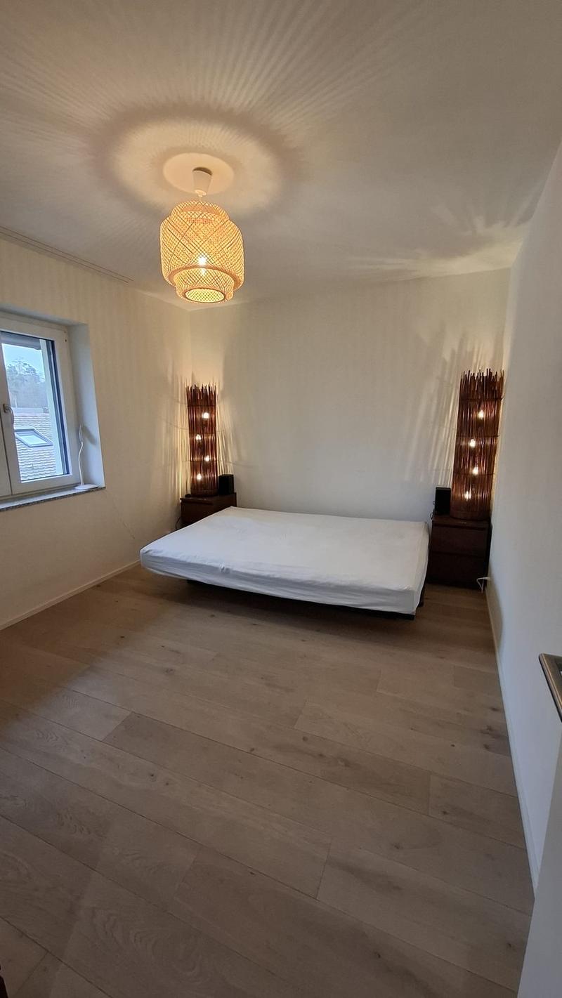 Furnished Room in Dietikon 20 min from Zurich HB CHF 900/month (3)