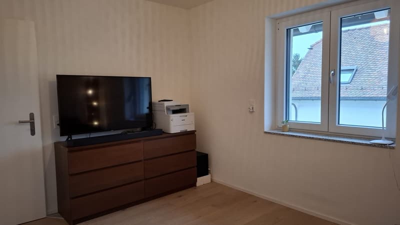 Furnished Room in Dietikon 20 min from Zurich HB CHF 900/month (2)
