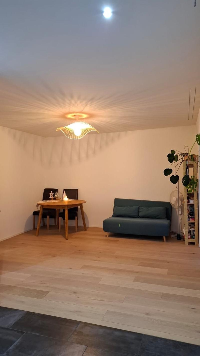 Furnished Room in Dietikon 20 min from Zurich HB CHF 900/month (6)