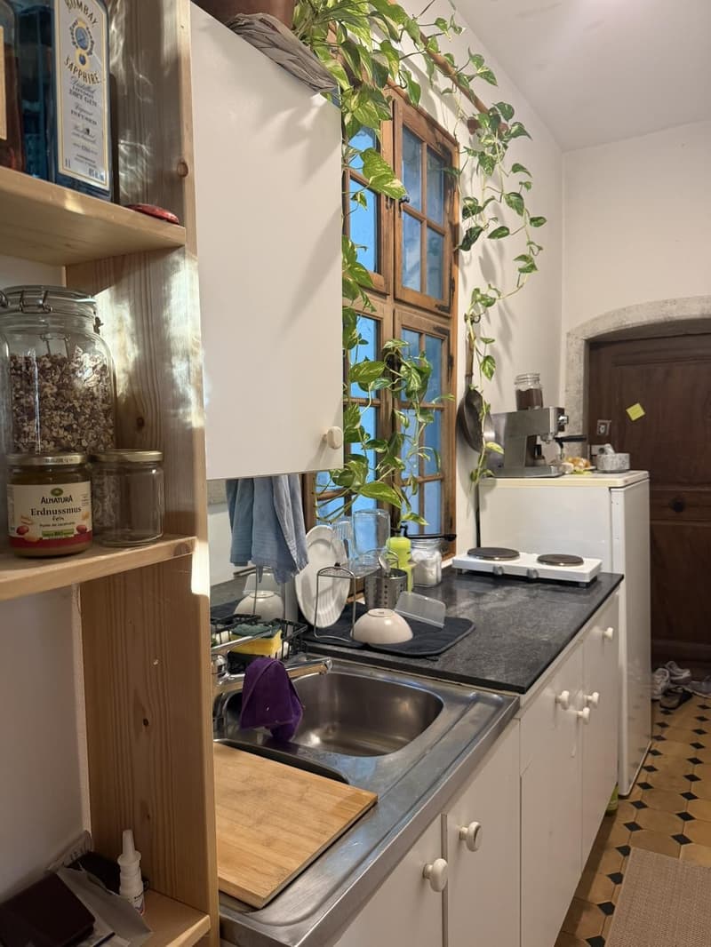 Charmante 1.5-Zimmer-Wohnung in Solothurn (3)