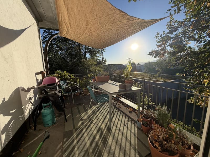 Charmante 1.5-Zimmer-Wohnung in Solothurn (2)