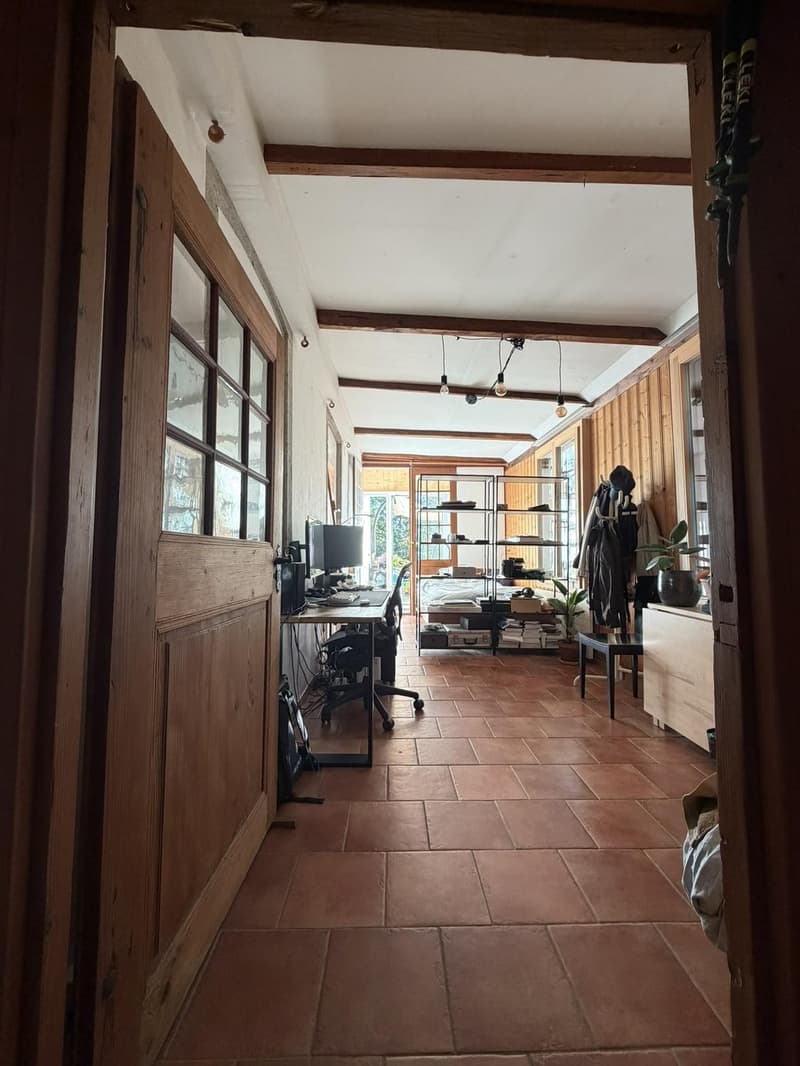 Charmante 1.5-Zimmer-Wohnung in Solothurn (1)