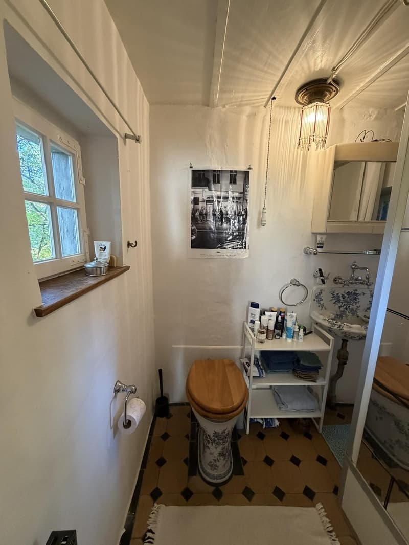 Charmante 1.5-Zimmer-Wohnung in Solothurn (4)